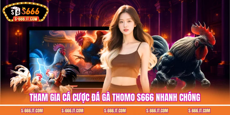Tham gia cá cược đá gà thomo S666 nhanh chóng